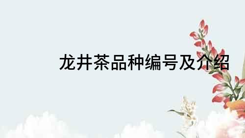 龍井茶品種編號及介紹