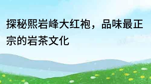 探秘熙巖峰大紅袍，品味最正宗的巖茶文化