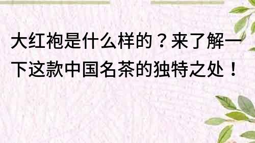 大紅袍是什么樣的？來了解一下這款中國名茶的獨特之處！