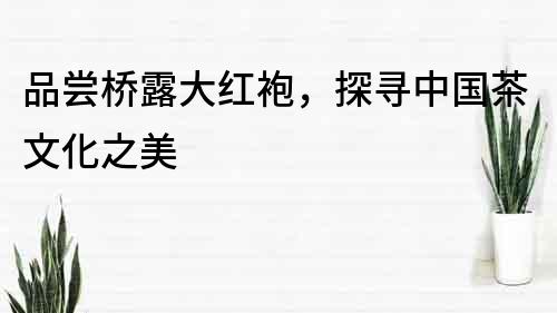 品嘗橋露大紅袍，探尋中國茶文化之美
