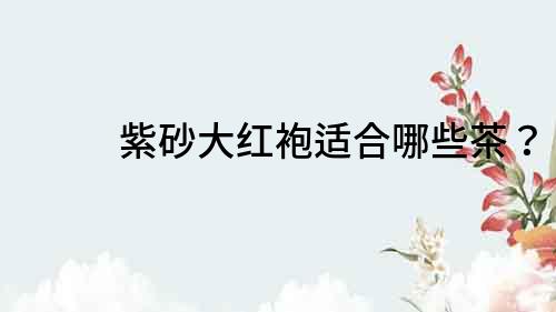 紫砂大紅袍適合哪些茶？