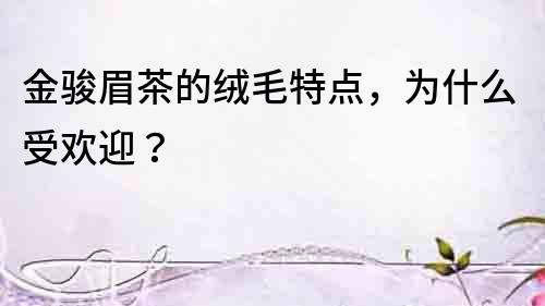 金駿眉茶的絨毛特點，為什么受歡迎？