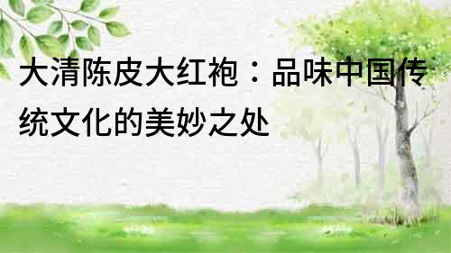 大清陳皮大紅袍：品味中國傳統文化的美妙之處