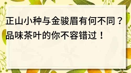 正山小種與金駿眉有何不同？品味茶葉的你不容錯過！