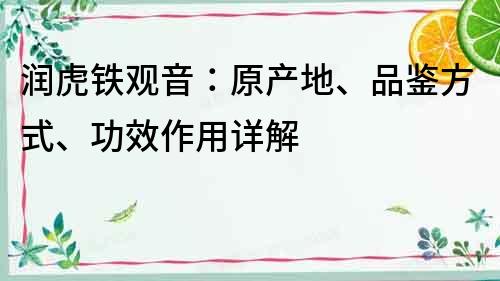 潤虎鐵觀音：原產(chǎn)地、品鑒方式、功效作用詳解