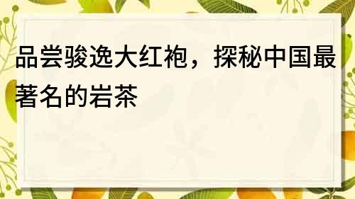品嘗駿逸大紅袍，探秘中國最著名的巖茶