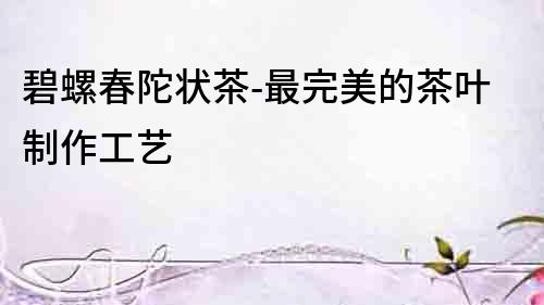 碧螺春陀狀茶-最完美的茶葉制作工藝