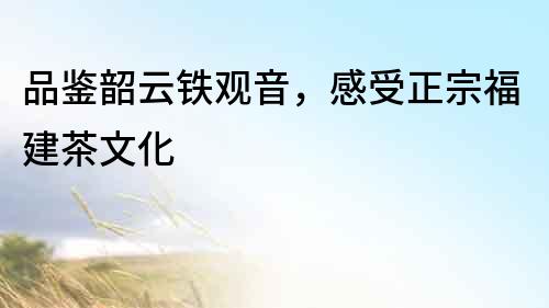 品鑒韶云鐵觀音，感受正宗福建茶文化
