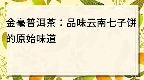 金毫普洱茶：品味云南七子餅的原始味道