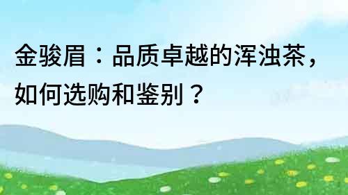 金駿眉：品質卓越的渾濁茶，如何選購和鑒別？
