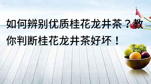 如何辨別優(yōu)質(zhì)桂花龍井茶？教你判斷桂花龍井茶好壞！