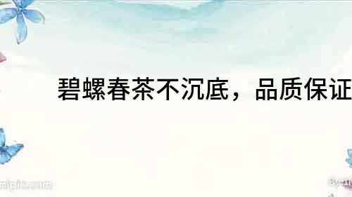 碧螺春茶不沉底，品質保證！