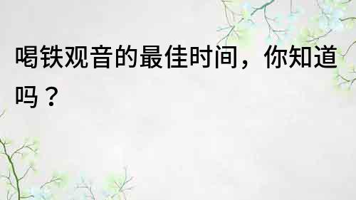 喝鐵觀音的最佳時(shí)間，你知道嗎？