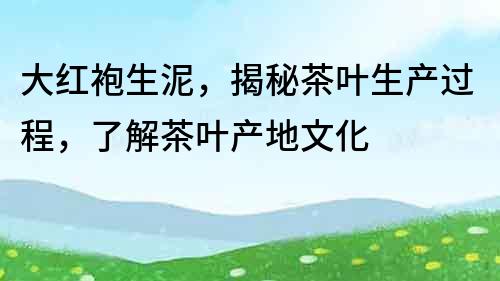 大紅袍生泥，揭秘茶葉生產(chǎn)過(guò)程，了解茶葉產(chǎn)地文化