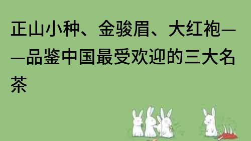 正山小種、金駿眉、大紅袍——品鑒中國最受歡迎的三大名茶