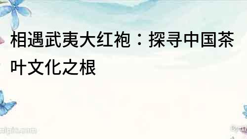 相遇武夷大紅袍：探尋中國茶葉文化之根