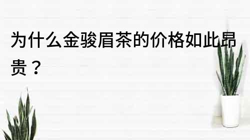 為什么金駿眉茶的價格如此昂貴？