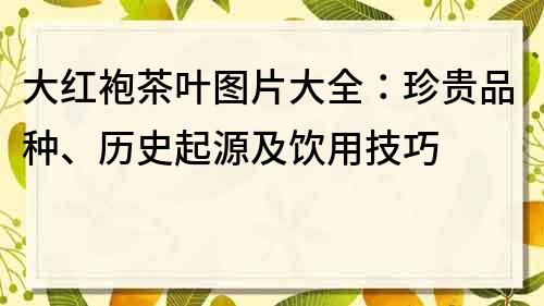 大紅袍茶葉圖片大全：珍貴品種、歷史起源及飲用技巧
