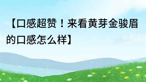 【口感超贊！來看黃芽金駿眉的口感怎么樣】