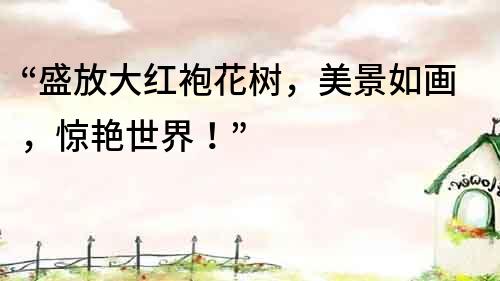 “盛放大紅袍花樹，美景如畫，驚艷世界！”