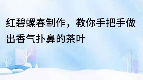 紅碧螺春制作，教你手把手做出香氣撲鼻的茶葉