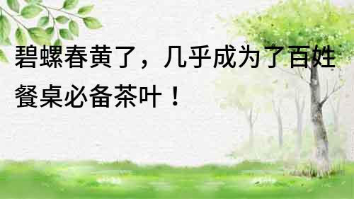 碧螺春黃了，幾乎成為了百姓餐桌必備茶葉！