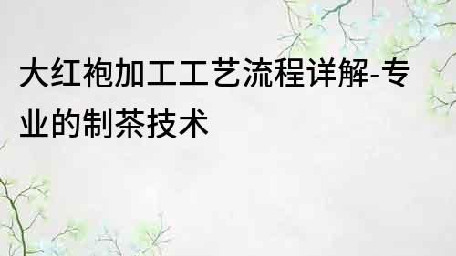 大紅袍加工工藝流程詳解-專業的制茶技術