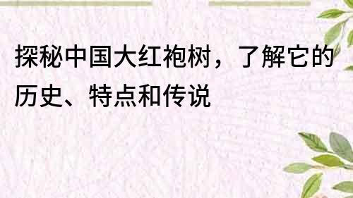 探秘中國大紅袍樹，了解它的歷史、特點和傳說