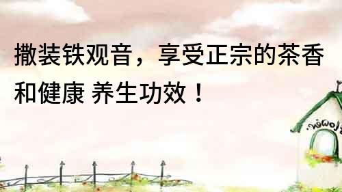 撒裝鐵觀音，享受正宗的茶香和健康 養生功效！