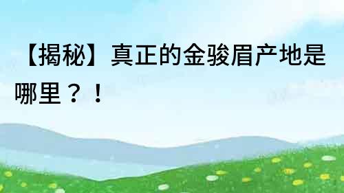 【揭秘】真正的金駿眉產地是哪里？！