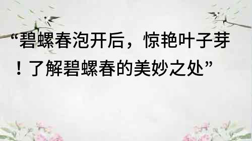 “碧螺春泡開后，驚艷葉子芽！了解碧螺春的美妙之處”