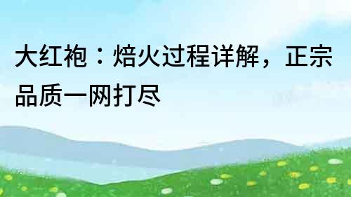 大紅袍：焙火過程詳解，正宗品質(zhì)一網(wǎng)打盡