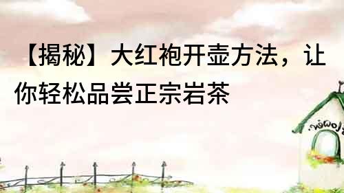 【揭秘】大紅袍開壺方法，讓你輕松品嘗正宗巖茶