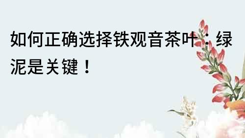 如何正確選擇鐵觀音茶葉：綠泥是關鍵！