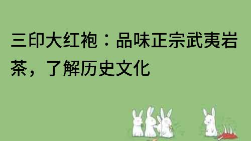 三印大紅袍：品味正宗武夷巖茶，了解歷史文化