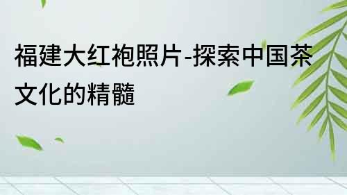 福建大紅袍照片-探索中國茶文化的精髓