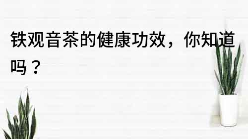 鐵觀音茶的健康功效，你知道嗎？