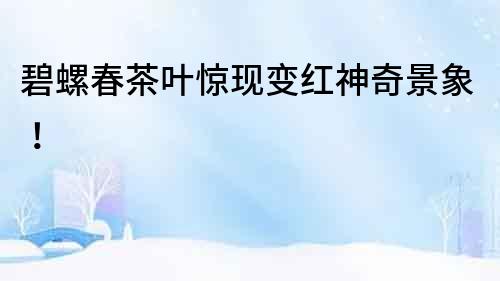碧螺春茶葉驚現變紅神奇景象！