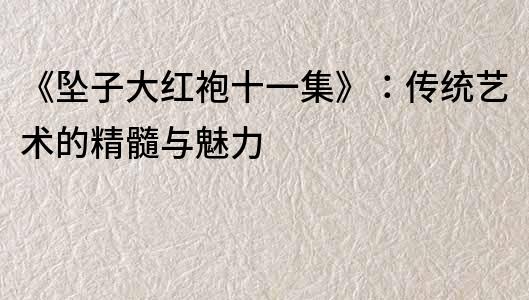 《墜子大紅袍十一集》：傳統藝術的精髓與魅力