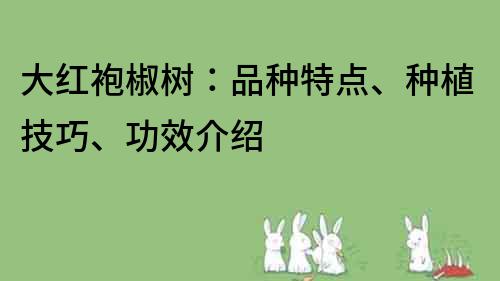 大紅袍椒樹：品種特點(diǎn)、種植技巧、功效介紹