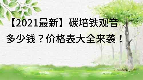 【2023最新】碳培鐵觀音多少錢？價格表大全來襲！
