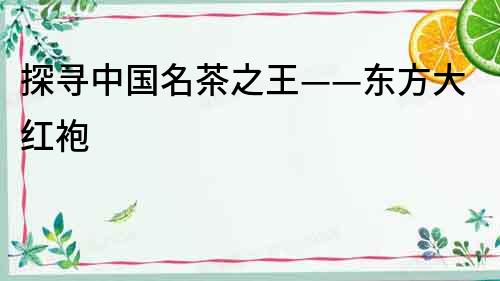 探尋中國名茶之王——東方大紅袍