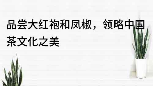 品嘗大紅袍和鳳椒，領略中國茶文化之美