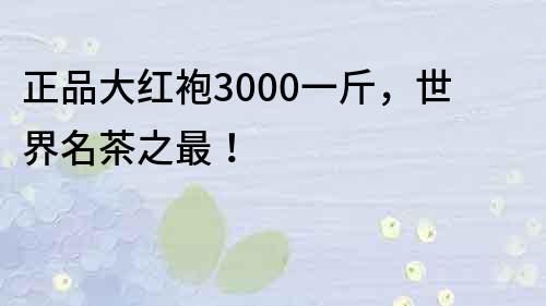 正品大紅袍3000一斤，世界名茶之最！