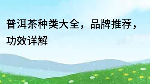 普洱茶種類大全，品牌推薦，功效詳解