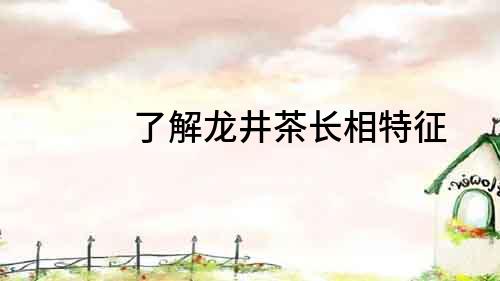 了解龍井茶長相特征