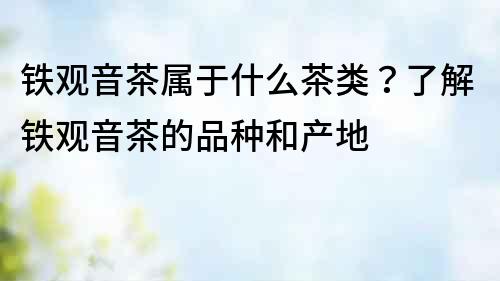 鐵觀音茶屬于什么茶類？了解鐵觀音茶的品種和產地