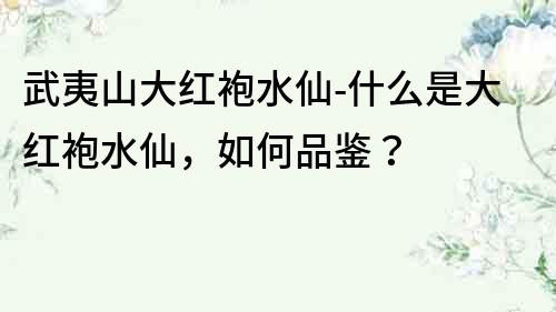 武夷山大紅袍水仙-什么是大紅袍水仙，如何品鑒？
