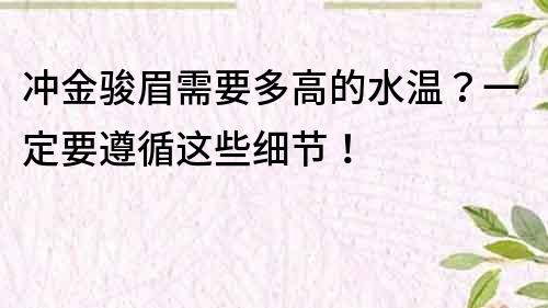 沖金駿眉需要多高的水溫？一定要遵循這些細節！