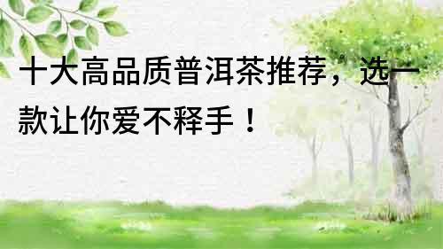 十大高品質普洱茶推薦，選一款讓你愛不釋手！